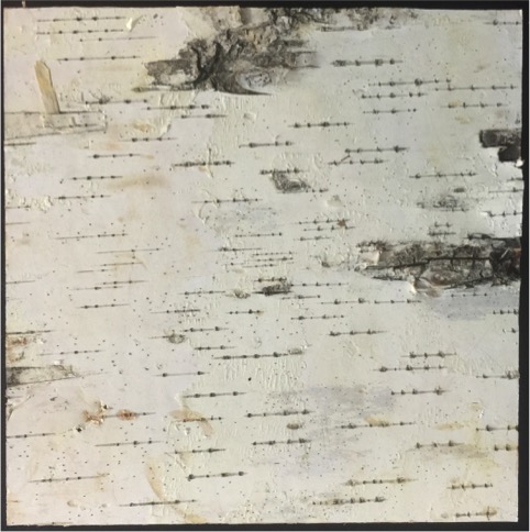 bark laminate