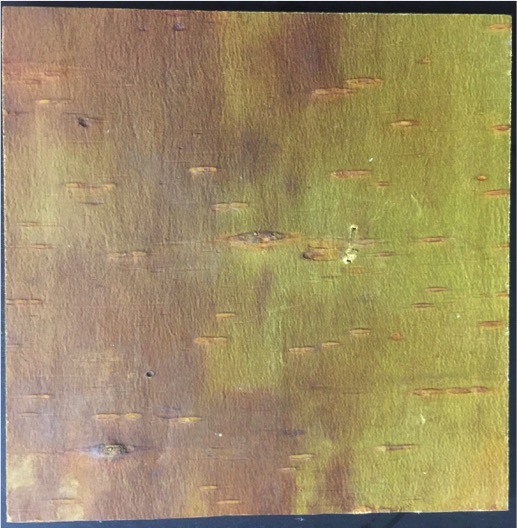 bark laminate panels