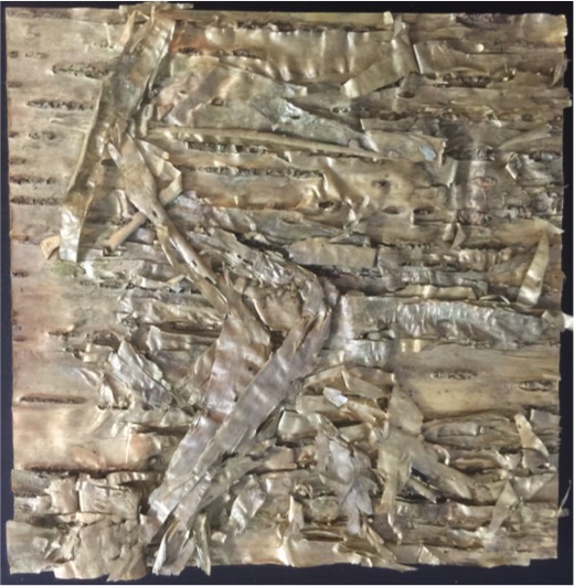 bark laminate