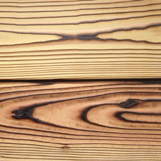 charred wood bark 